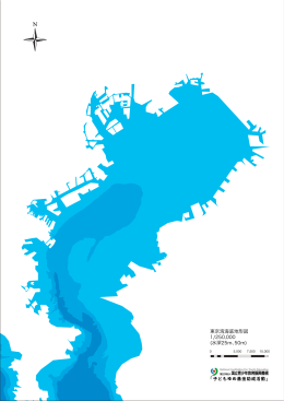 東京湾海底地形図 1/250,000 (水深25m、50m)