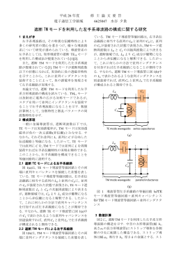 遮断 TM モードを利用した左手系導波路の構成に関する研究