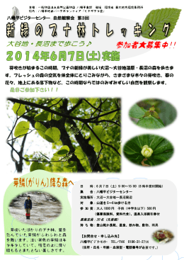 芽吹いたばかりのブナ林。葉を 包んでいた芽鱗がふわふわと森 を舞い