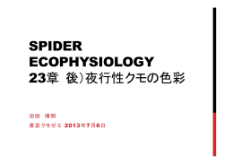SPIDER ECOPHYSIOLOGY 23章（後）夜行性クモの色彩