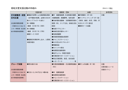 現地災害支援活動の枠組み