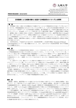 活性酸素による核酸の酸化に起因する神経変性のメカニズム