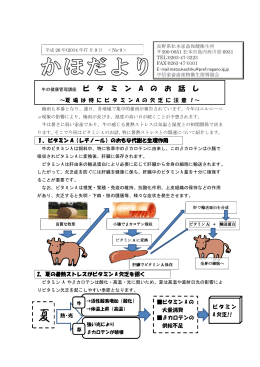 牛の健康管理講座「ビタミンAのお話し」（PDF：327KB）