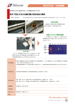野外で発生する木材腐朽菌の同定技術の開発