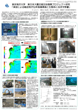 津波による輸送物が沿岸漁場環境 - 東日本大震災被災地における調査