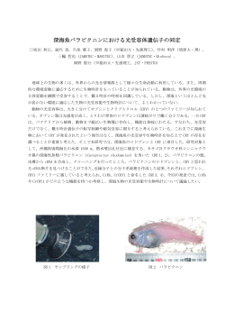 深海魚バラビクニンにおける光受容体遺伝子の同定