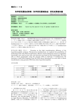 研究成果報告書 - KAKEN - 科学研究費助成事業データベース