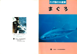 まぐろ - 日本水産資源保護協会