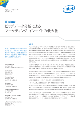 ビッグデータ分析による マーケティング・インサイトの最大化