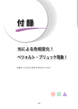 付録／ベツォルト・ブリュッケ現象