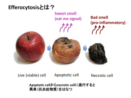 Efferocytosisとは？