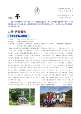 平成 24 年 12 月 28 日