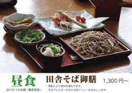 昼食 田舎そば御膳