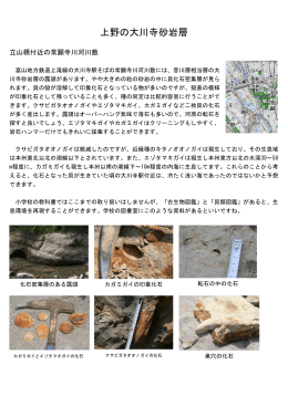 上野の大川寺砂岩層