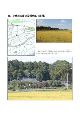 86．小畔川左岸の笠幡地区（笠幡）