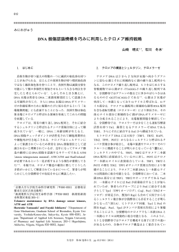 DNA 損傷認識機構を巧みに利用したテロメア維持戦略