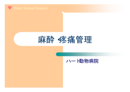 麻酔・疼痛管理 - ハート 動物病院