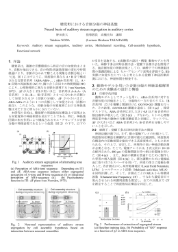 聴覚野における音脈分凝の神経基盤 Neural basis of auditory stream