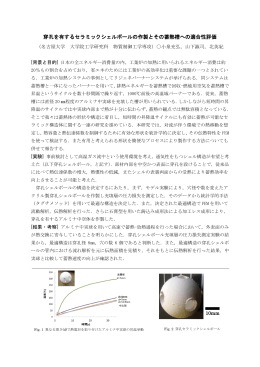 穿孔を有するセラミックシェルボールの作製とその蓄熱槽への適合性評価