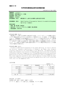 様式 C-19 科学研究費補助金研究成果報告書 - KAKEN