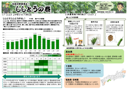 品目詳細をみる - 東京多摩青果