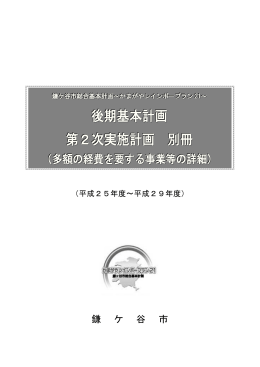 （多額の経費を要する事業等の詳細）(PDF：733KB)