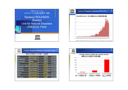 バダウィ・ルーバン ユネスコ（パリ）自然災害部門 部長 - IISEE