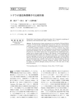 トゲウオ亜目魚類精子の比較形態 - J