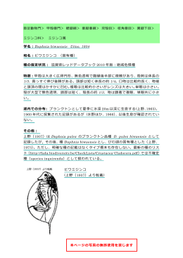 Daphnia biwaensis（PDF：182KB）
