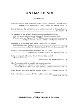 PDFファイルダウンロード