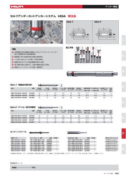 セルフアンダーカットアンカーシステム HDA 特注品