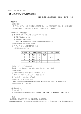 DNAの断片化・電気泳動実験