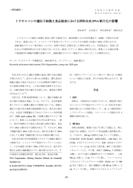 トウモロコシの遺伝子組換え食品検査における試料由来 DNA断片化の