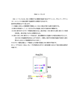 DNA シーケンス