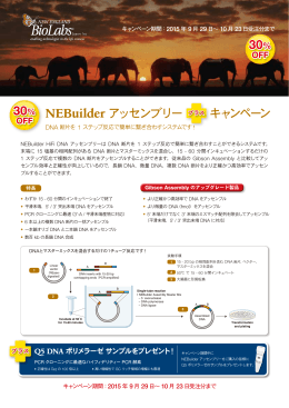 NEBuilder アッセンブリー プラス キャンペーン 30% 30%