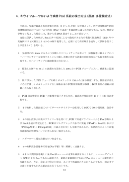分割版2（PDF：1345KB）