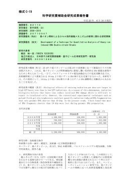 様式 C-19 科学研究費補助金研究成果報告書