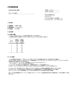 報告書例（全文はこちら）(PDF 301KB)