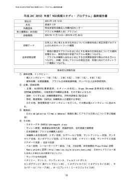 報告書（PDF：688KB）