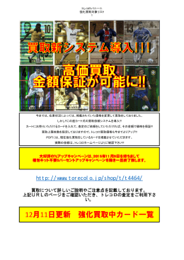 パニーニフットボールリーグ（PDFファイル）