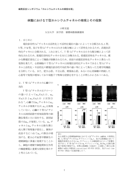 病態におけるT型カルシウムチャネルの発現とその役割