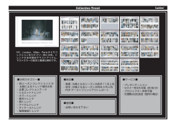 コレクショントレンド