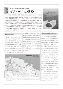 カブトガニのSOS - NPO法人OWS