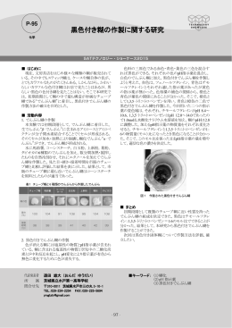 黒色付き糊の作製に関する研究