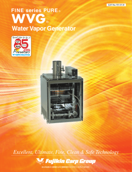 Water Vapor Generator