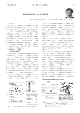 植物機能高度活用のための分子基盤開発（PDF）