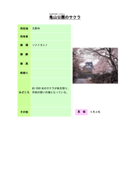 12奥越：亀山公園のサクラ（PDF形式 92キロバイト）