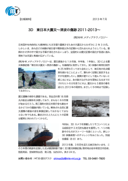 3D 東日本大震災～津波の傷跡 2011-2013～
