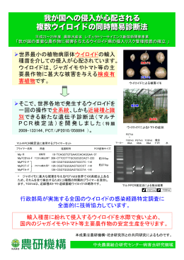 我が国への侵入が心配される 複数ウイロイドの同時簡易診断法
