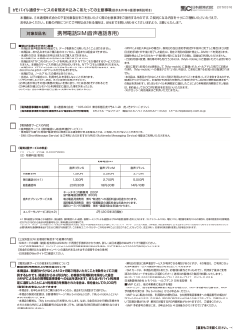 携帯電話SIM(音声通話専用) - B